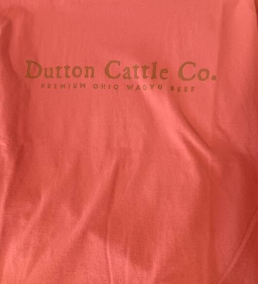 DCC long sleeve shirt mauve