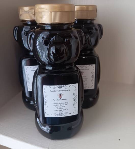 16 oz Honey Bear
